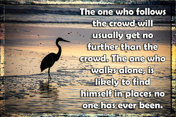 Follow the crowd