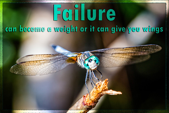 Give you wings