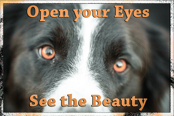 See the Beauty