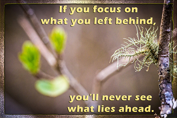 What you left behind