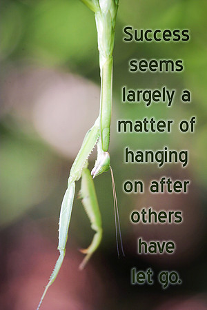Hanging on Success