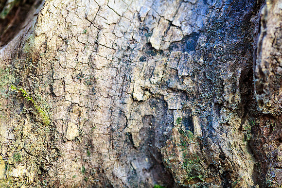 IMG_0076-Edit