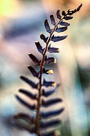 IMG_0084-Edit