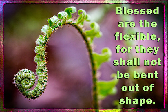 Blessed are the Flexible