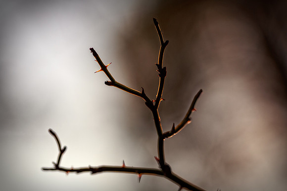 IMG_0100-Edit