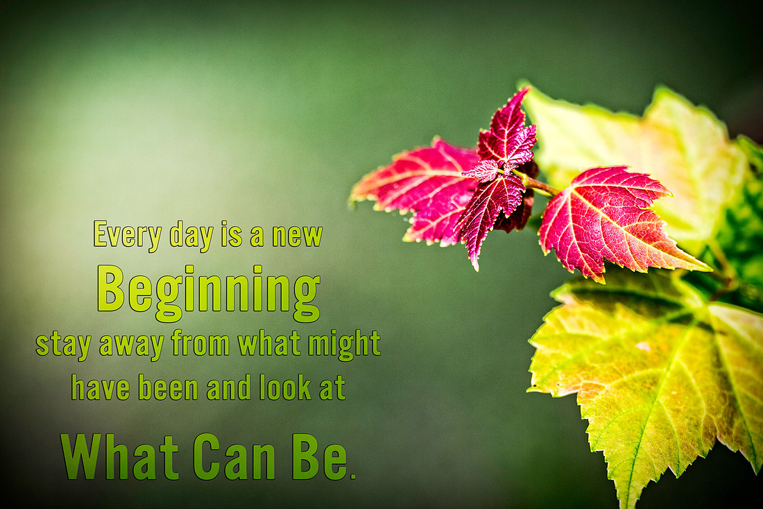 What can be