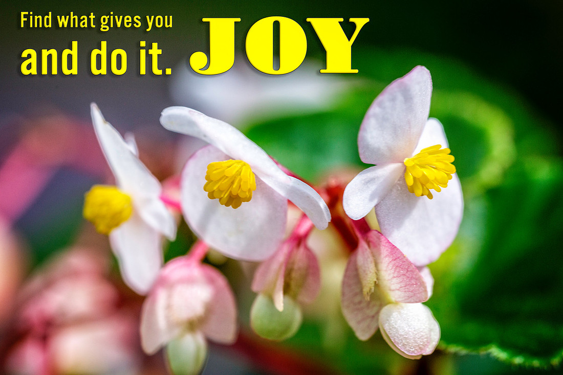 Find what gives you joy