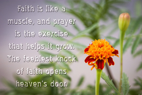 Faith a Muscle
