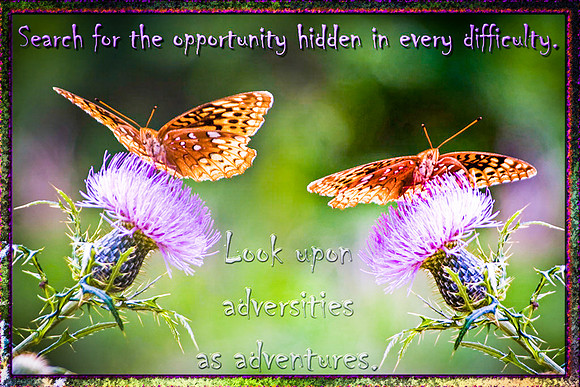 Hidden Opportunity LoRes