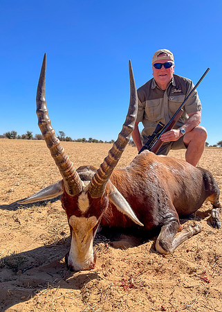 Bruce Martin - Blesbok