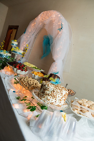 2015_RLMoore_MistyDewayneWedding (2 of 119)