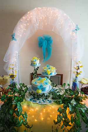2015_RLMoore_MistyDewayneWedding (3 of 119)