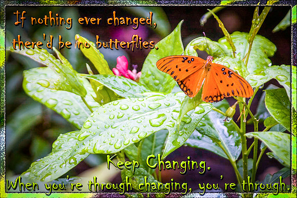 Keep Changing