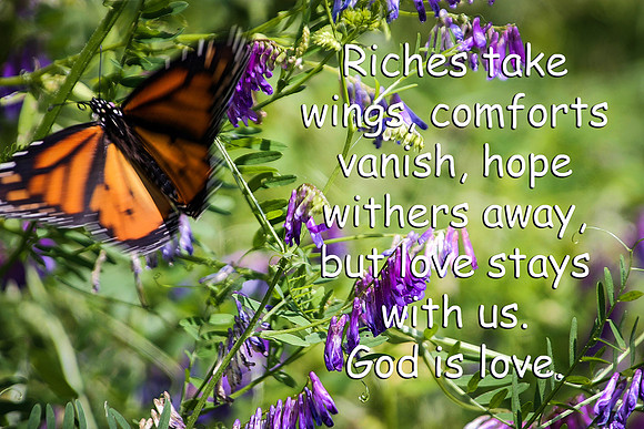 butterfly riches