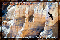 Soar against the wind