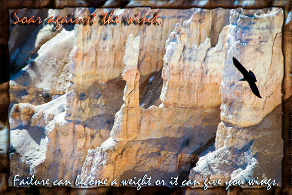 Soar against the wind