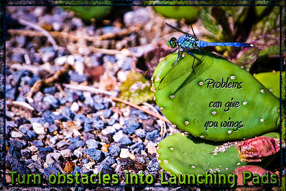 Launching Pads LoRes