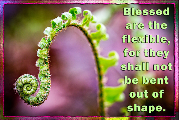 Blessed are the Flexible