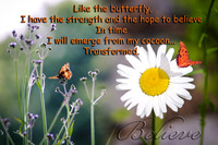 butterfly believe