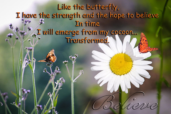 butterfly believe