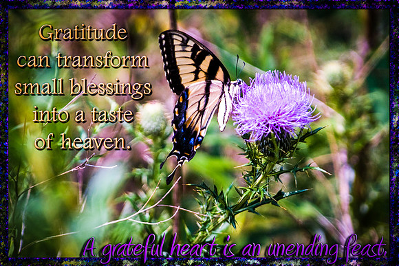 Unending Feast LoRes