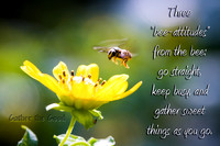 Bee Landing