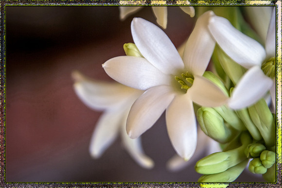 _MG_5969-Edit