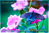 _MG_4091-Edit
