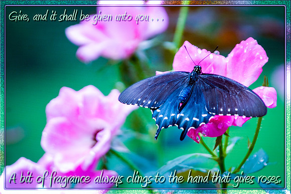 _MG_4091-Edit