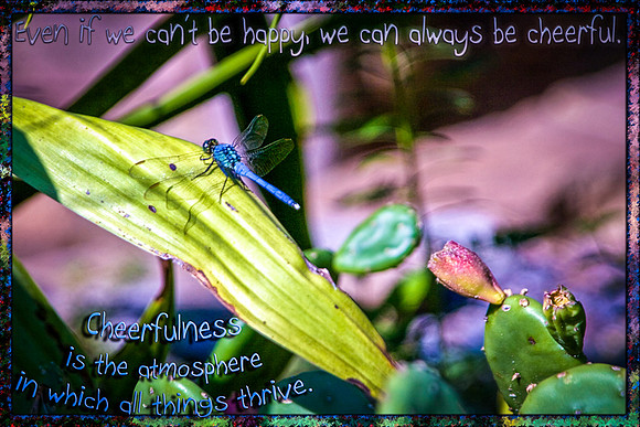 Be Cheerful LoRes