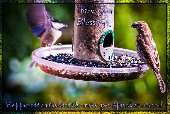Share your blessings LoRes