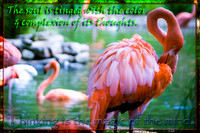 _MG_4166-Edit