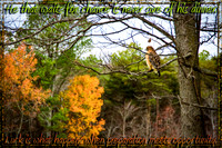 _MG_1402-Edit