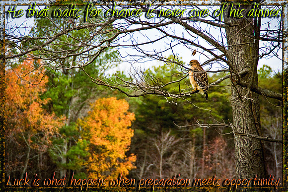 _MG_1402-Edit