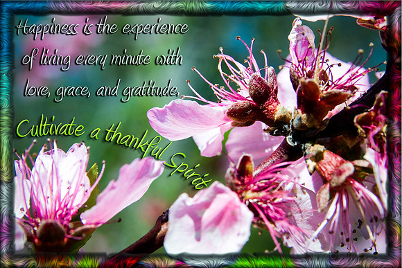 Cultivate Grattitude