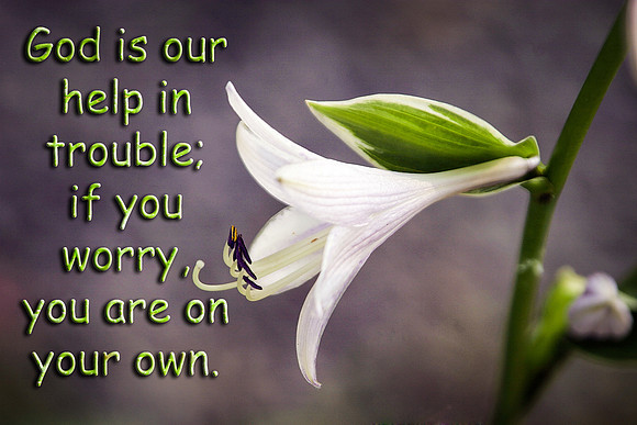 You are on your own