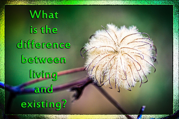 Are you living or existing