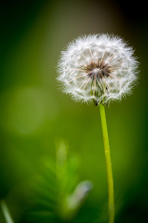 8E0A6590-Edit