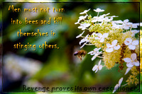 Do not be like the Bee