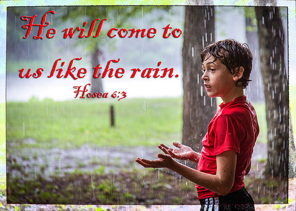 Like the Rain