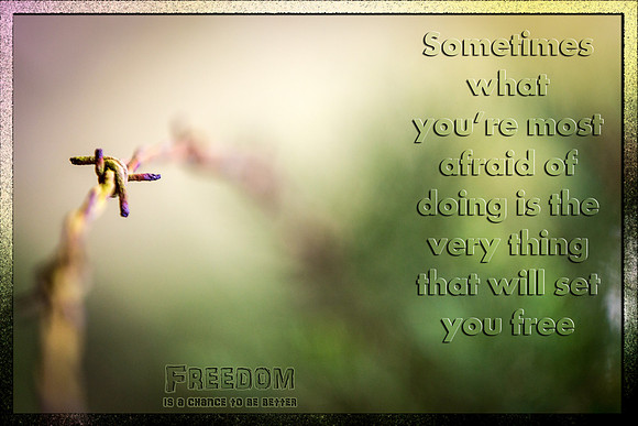 Freedom 2B Better