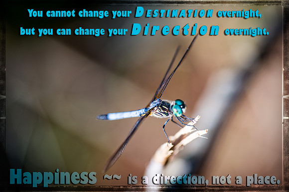 8E0A1657-Edit-Edit-Edit