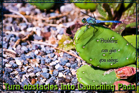 Launching Pads LoRes