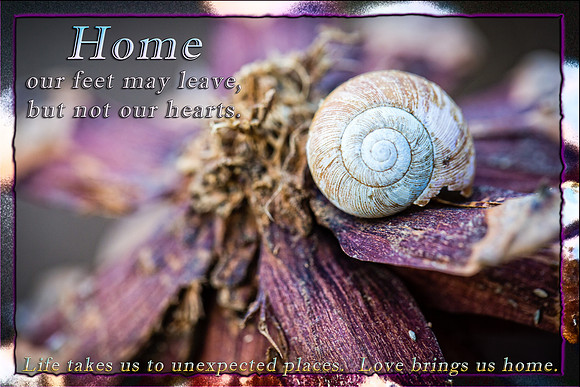 Love brings us home