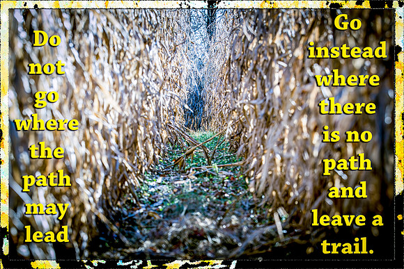 Leave a trail