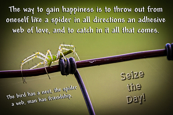 Like a Spider