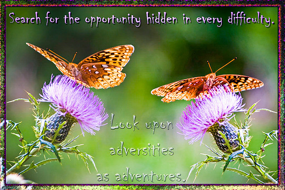 Hidden Opportunity LoRes