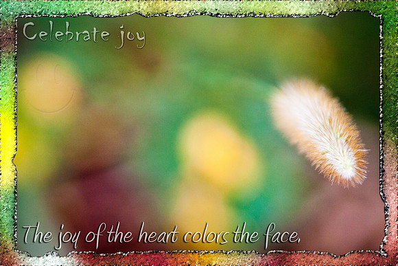 Celebrate Joy
